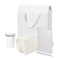 Подарочный набор Welcome Pack Spark, серебряный (термокружка, ежедневник, ручка, плед, коробка-пакет)