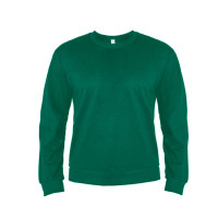 Толстовка мужская ANTARES, тёмно-зелёный, XL, 50 % хлопок, 50% полиэстер, 260 г/м2