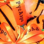 Тигрёнок с логотипом РусАэро