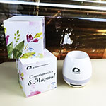 Беспроводная колонка с логотипом ДВБ