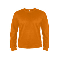 Толстовка мужская ANTARES, оранжевый, L, 50 % хлопок, 50% полиэстер, 260 г/м2